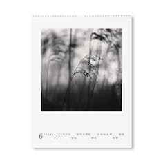 MICHAEL KENNA 2026 WALL CALENDAR